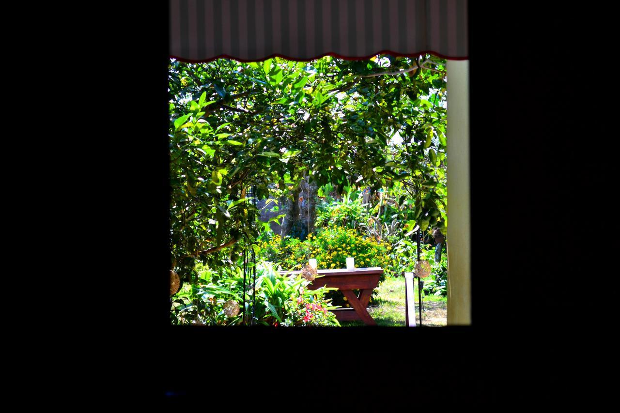 Hotel Casa Aura Cartago Exterior photo