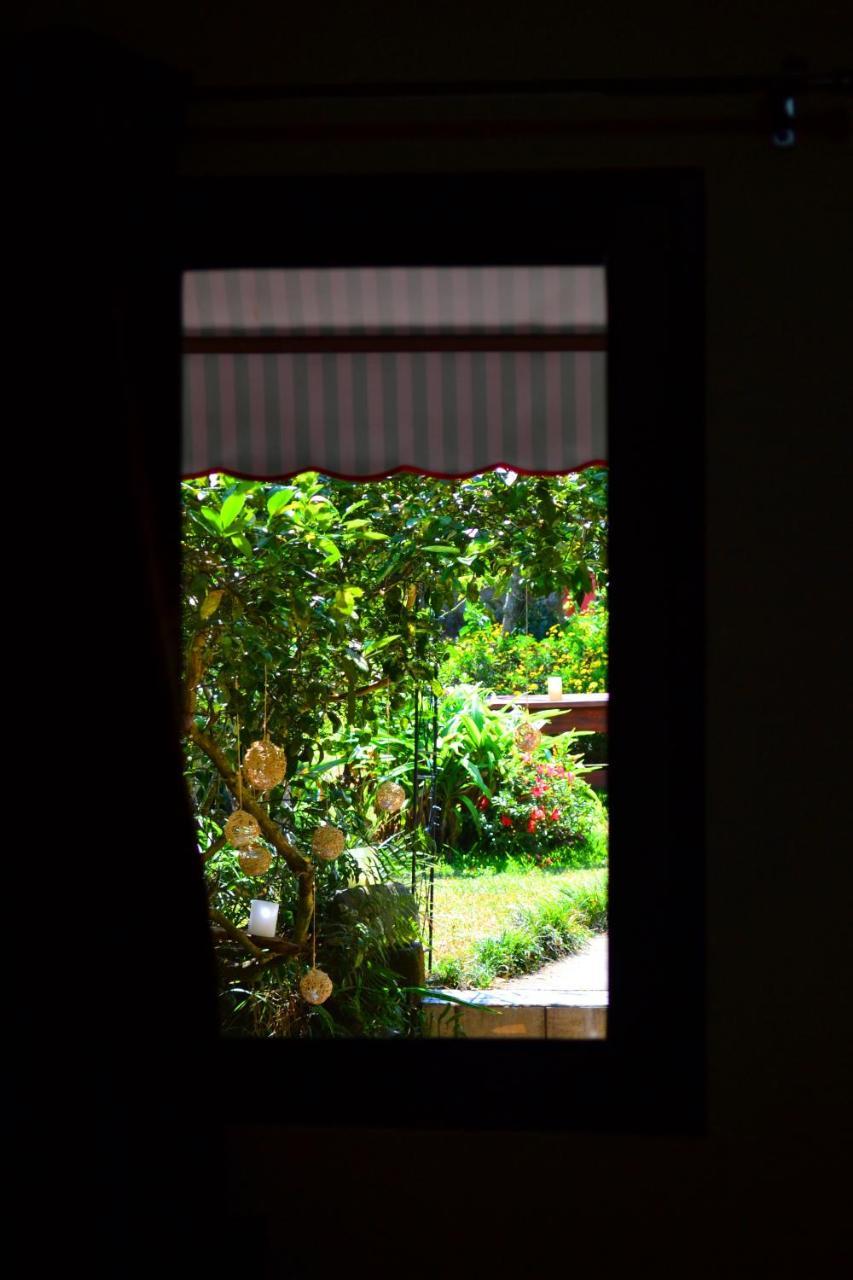 Hotel Casa Aura Cartago Exterior photo